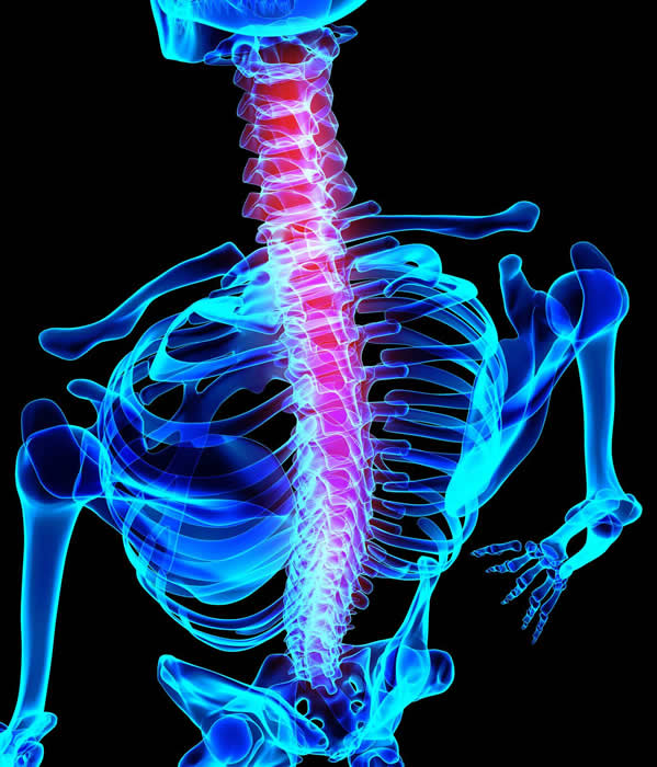 The Number One Reason Why Specializing in Posture Is a Guaranteed Win The Number One Reason Why Specializing in Posture Is a Guaranteed Win